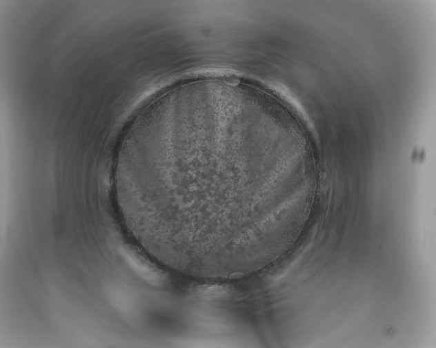 X0000091650063200709061008