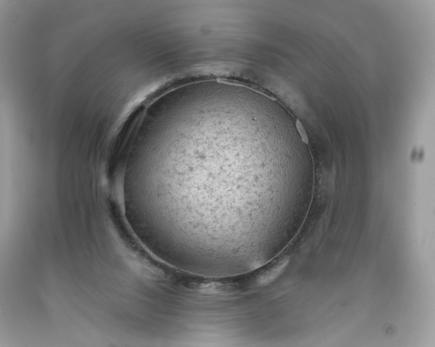 X0000091650064200709061008