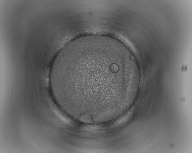 X0000091650065200709061008