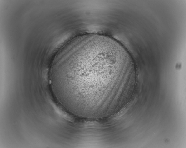 X0000091650066200709061008