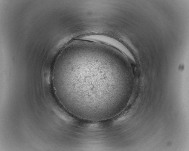 X0000091650068200709061008