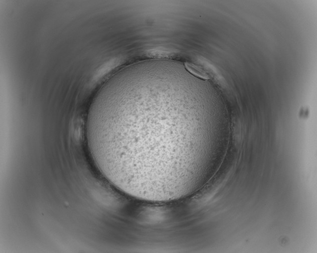 X0000091650071200709061008