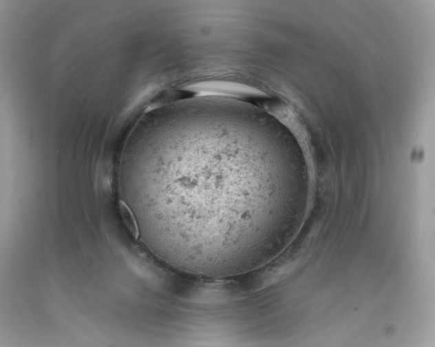 X0000091650072200709061008