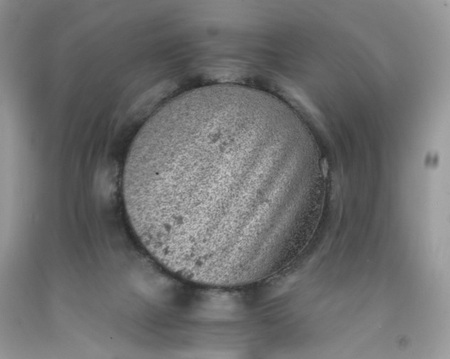 X0000091650073200709061008