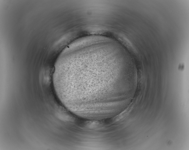 X0000091650074200709061008