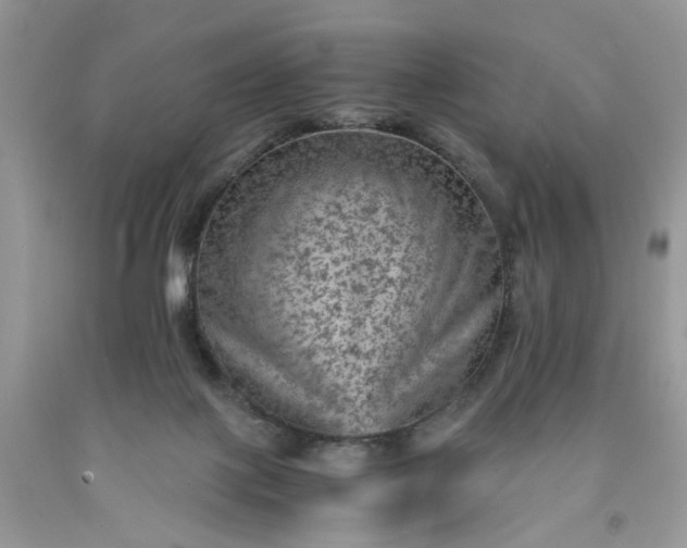 X0000091650075200709061008