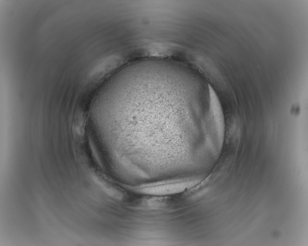 X0000091650078200709061008