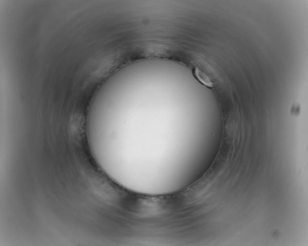 X0000091650079200709061008