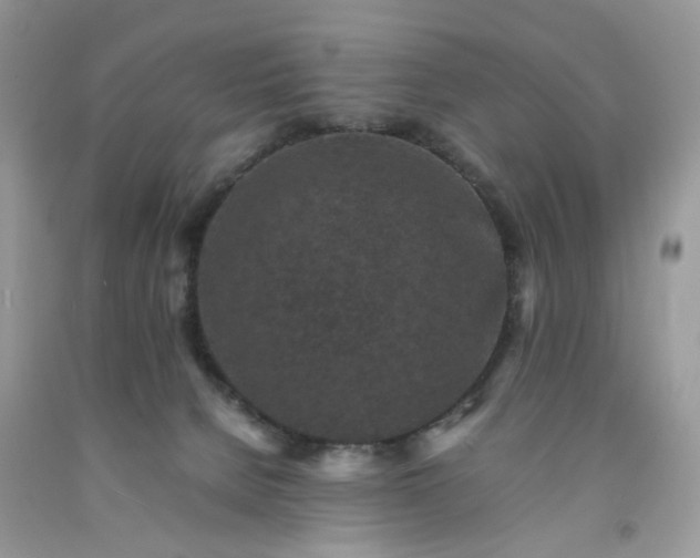 X0000091650080200709061008