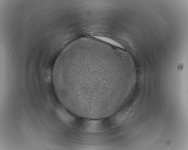 X0000091650081200709061008