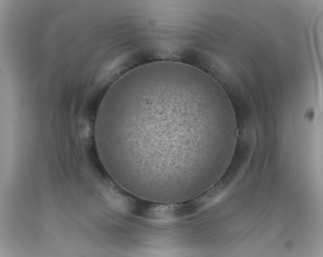 X0000091650084200709061008