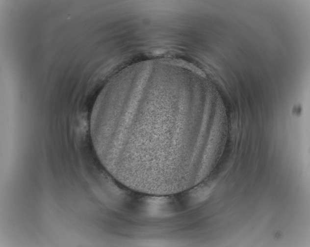 X0000091650085200709061008