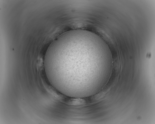 X0000091650087200709061008