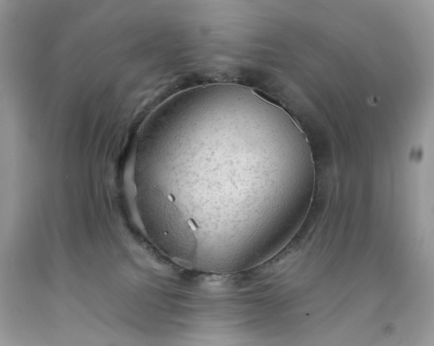 X0000091650088200709061008