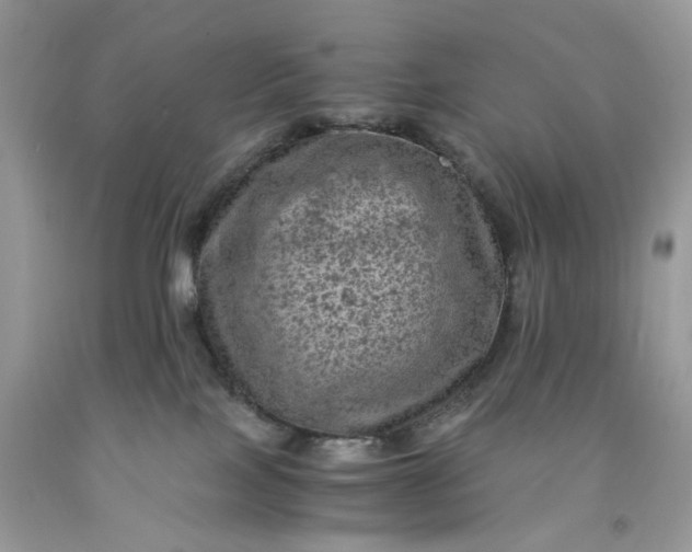 X0000091650089200709061008