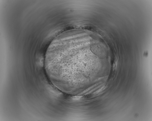 X0000091650090200709061008