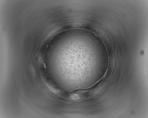 X0000091650091200709061008