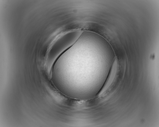 X0000091650092200709061008