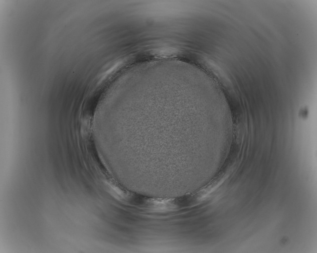 X0000091650093200709061008