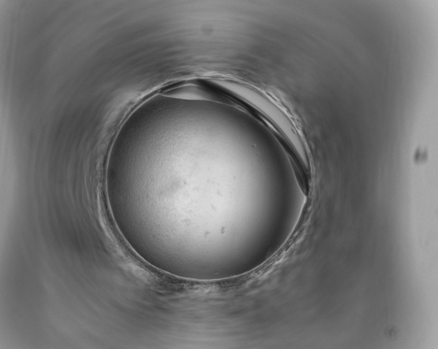 X0000091650097200709061007