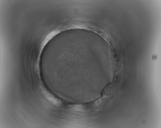 X0000091650104200709061007