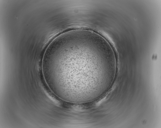 X0000091650105200709061007