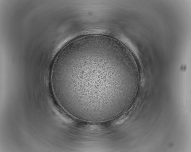 X0000091650107200709061007