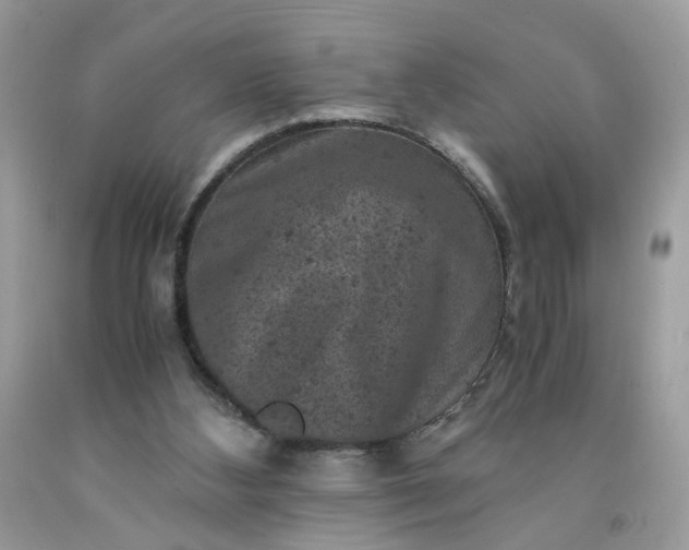 X0000091650108200709061007