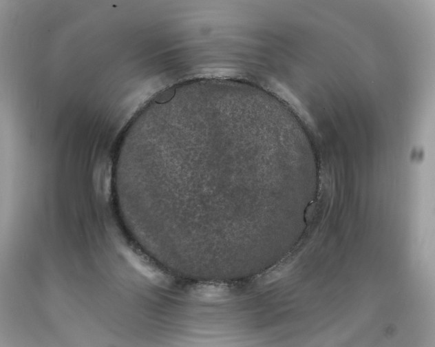 X0000091650110200709061007