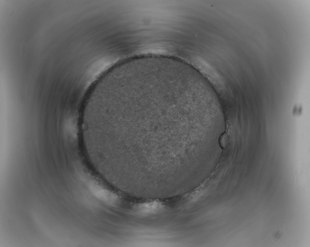 X0000091650112200709061007