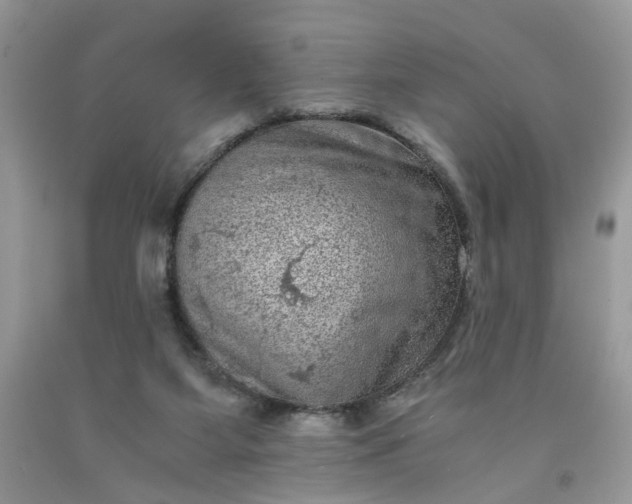 X0000091650115200709061007