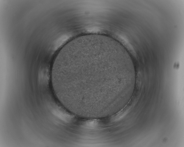 X0000091650116200709061007