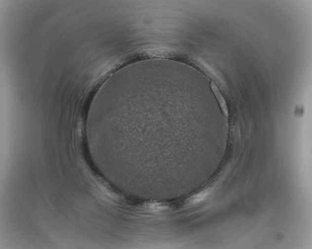 X0000091650117200709061007