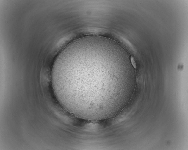 X0000091650119200709061007