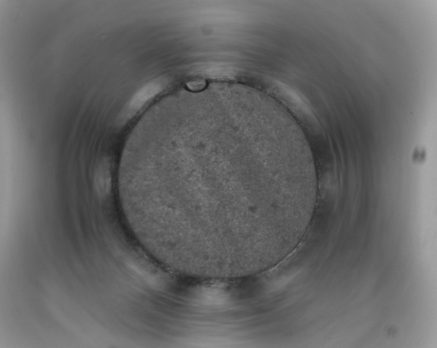 X0000091650120200709061007