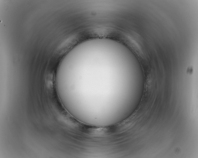 X0000091650122200709061007