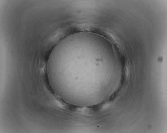 X0000091650125200709061007