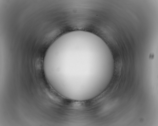 X0000091650126200709061007