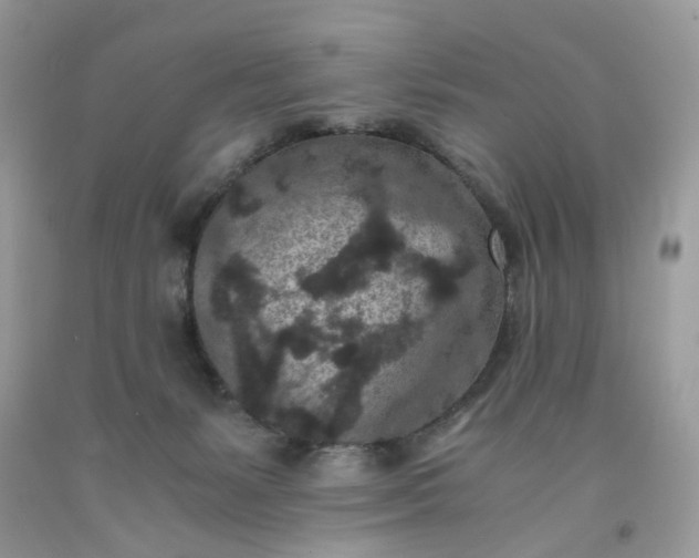 X0000091650127200709061007