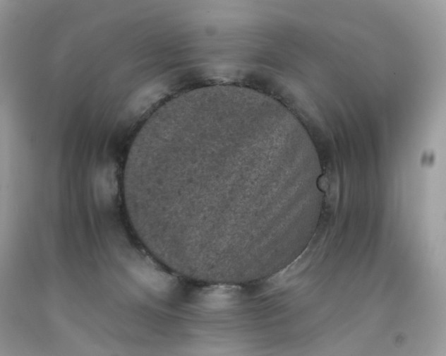 X0000091650128200709061007