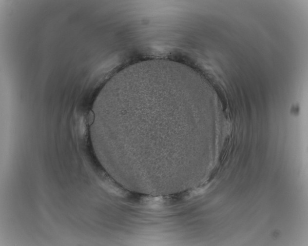 X0000091650131200709061007