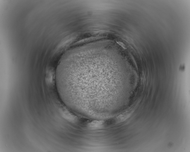 X0000091650138200709061007