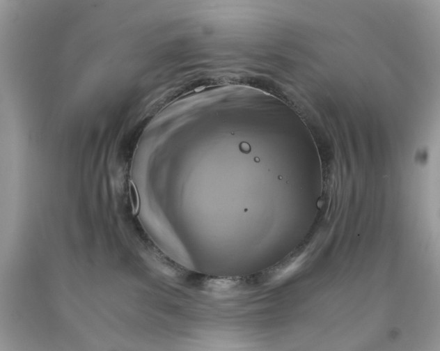 X0000091650139200709061007