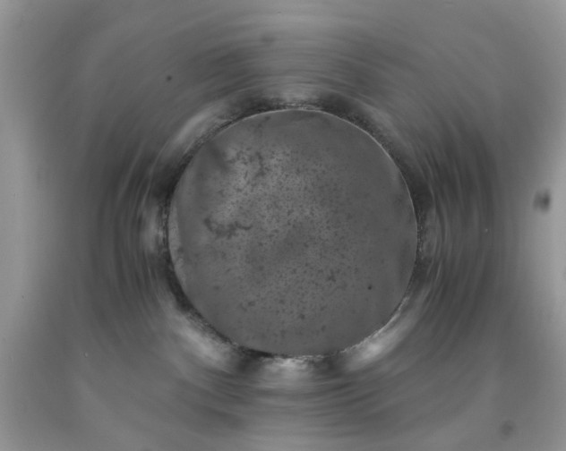 X0000091650140200709061007