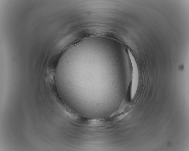 X0000091650141200709061007