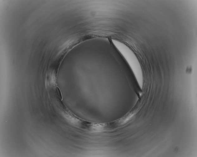 X0000091650143200709061007