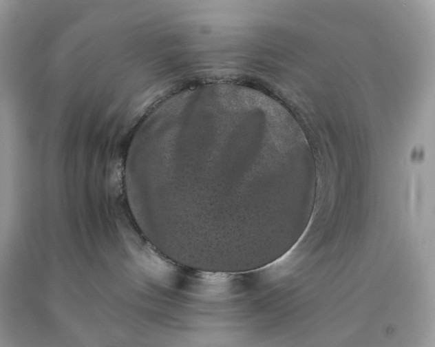 X0000091650144200709061007