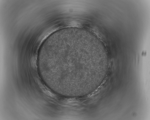 X0000091650146200709061006