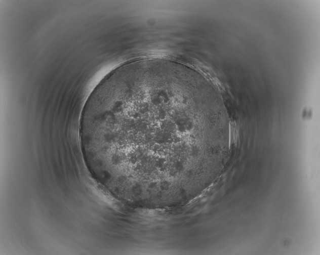 X0000091650147200709061006