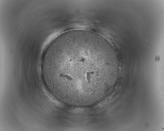 X0000091650149200709061006